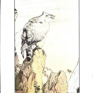 Edward Detmold 11.75" x 8.75" Book Page Print: Fable's of Aesop- Eagle & Beetle